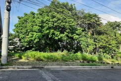 Residential Lot for Sale in Banilad Talamban, Cebu