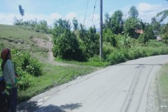 LOT FOR SALE IN CATARMAN LILOAN, CEBU