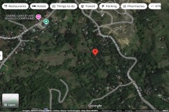 33-Hectare Industrial Lot For Sale  in Cantaon, Naga, Cebu