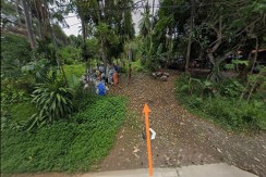 15.9 Hectare Titled Property for Sale –Brgy. Vito, Balamban, Cebu